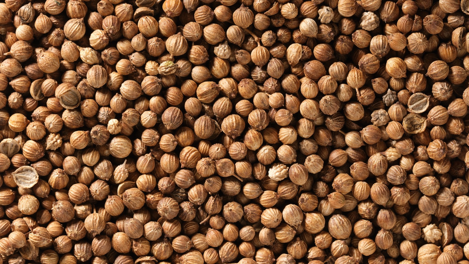 What Is Coriander And How Do You Cook With It?