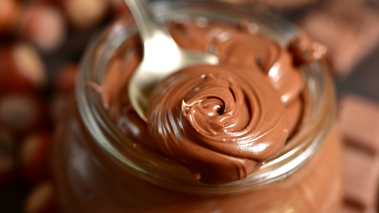 A spoon dipped into a bowl of creamy chocolate