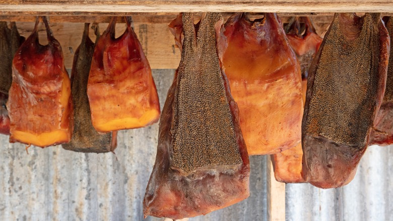 hákarl shark meat hang drying 