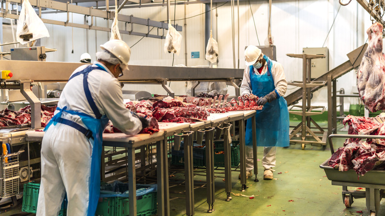 Employees cutting meat in butcher shop
