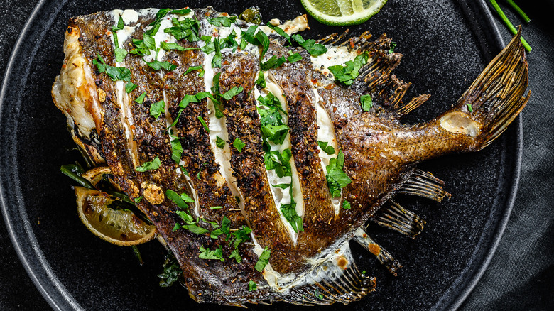 grilled John Dory fish