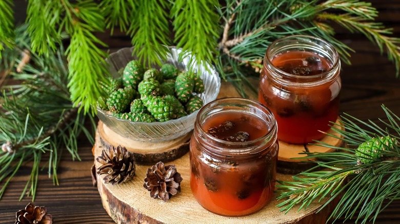 Pine cone jam in jars