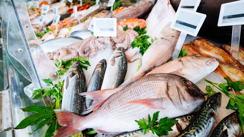 assortment of seafood at market