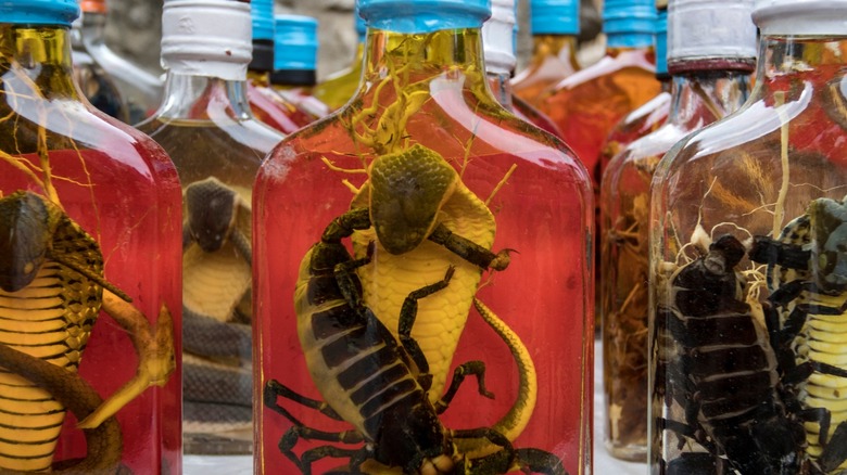 Bottles of snake whiskey with scorpions