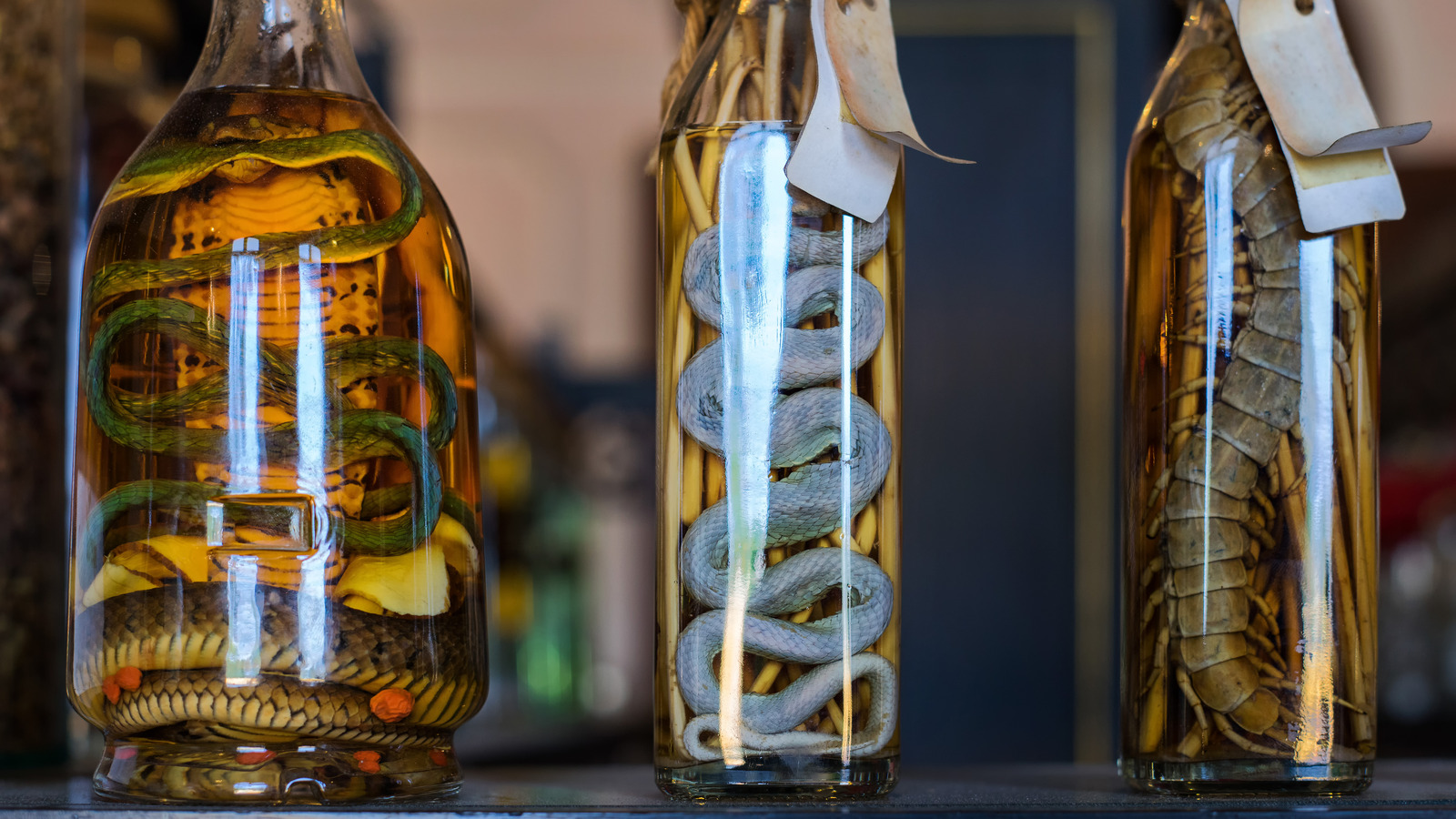 What Is Snake Wine, And Is It Safe To Drink?