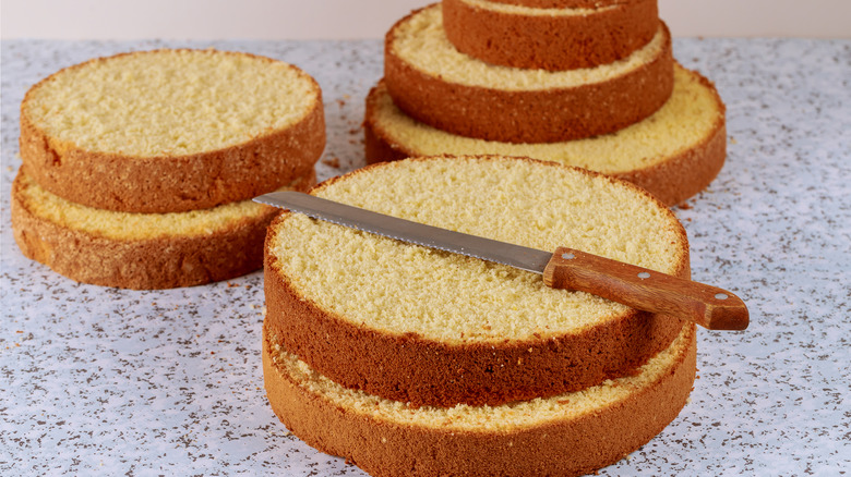 Cake cut into layers