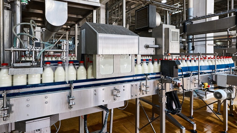 Milk pasteurization machine