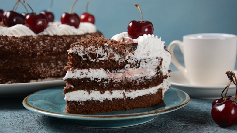 Slice of black forest cake