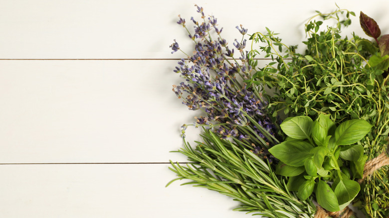 Bunches of fresh herbs on a flat surface
