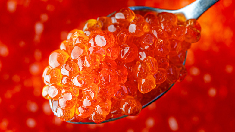 Red caviar on spoon