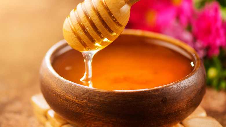 Honey on a honey dripper