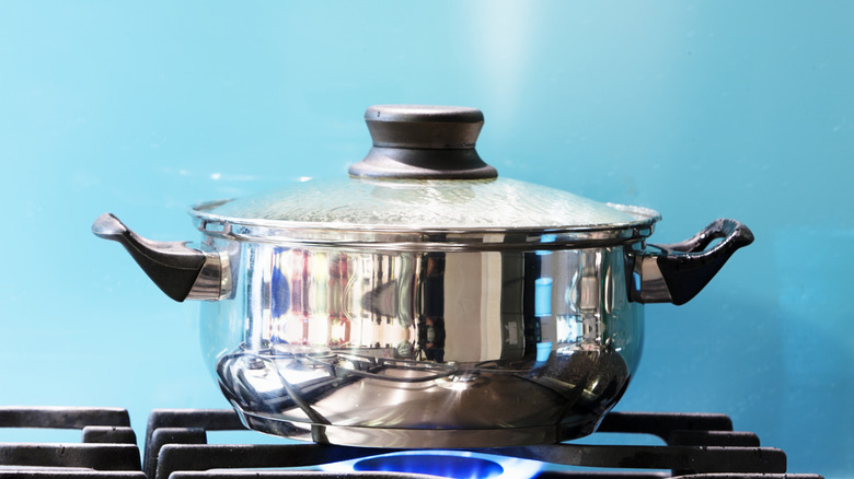 Covered silver pot on burner