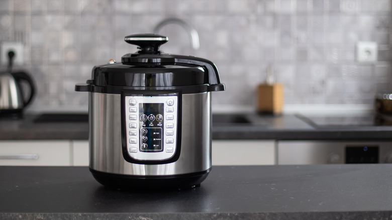 Instant Pot-style pressure cooker