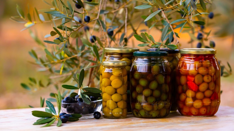 glass jars with olives in brine, olive tree