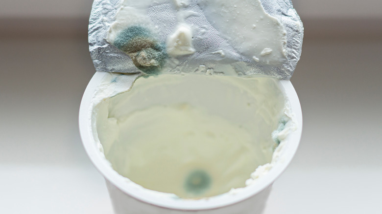 Moldy tub of sour cream