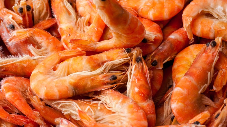shrimp with heads