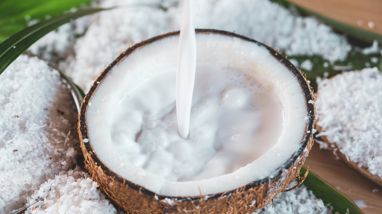 Fresh coconut milk in shell