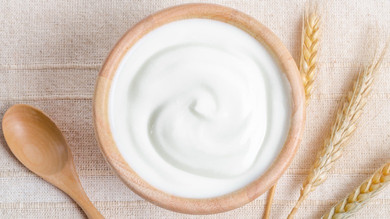 Greek yogurt in wooden bowl
