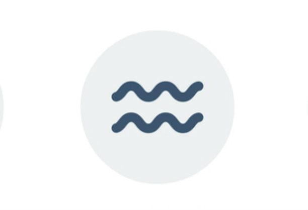 Aquarius (January 20 – February 18)