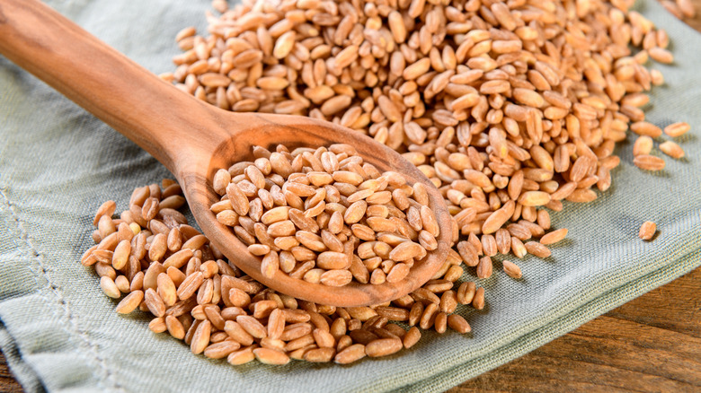 Farro with wooden spoon