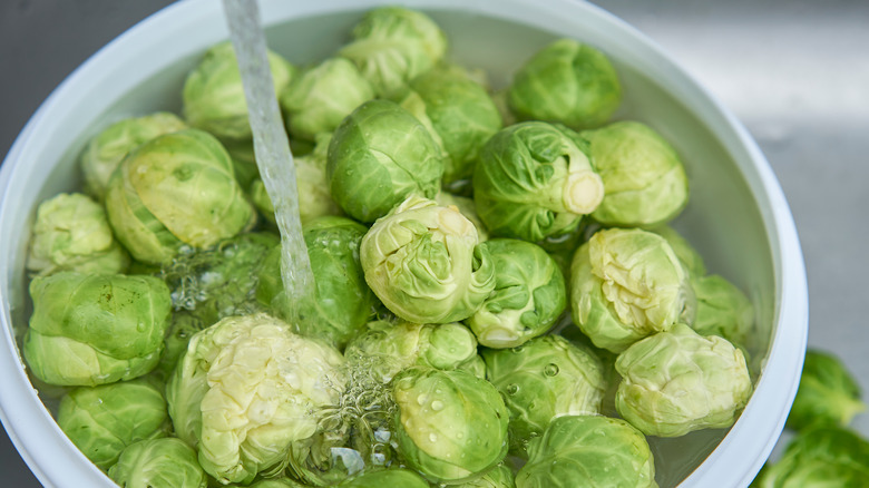 Close-up of Brussels sprouts washed in bowl