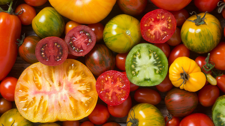 various varieties of tomatoes