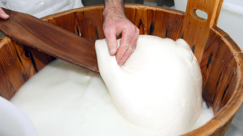 Making mozzarella by hand