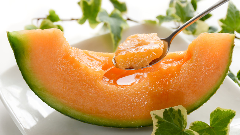 wedge of cantaloupe or muskmelon on a plate being eaten with a spoon