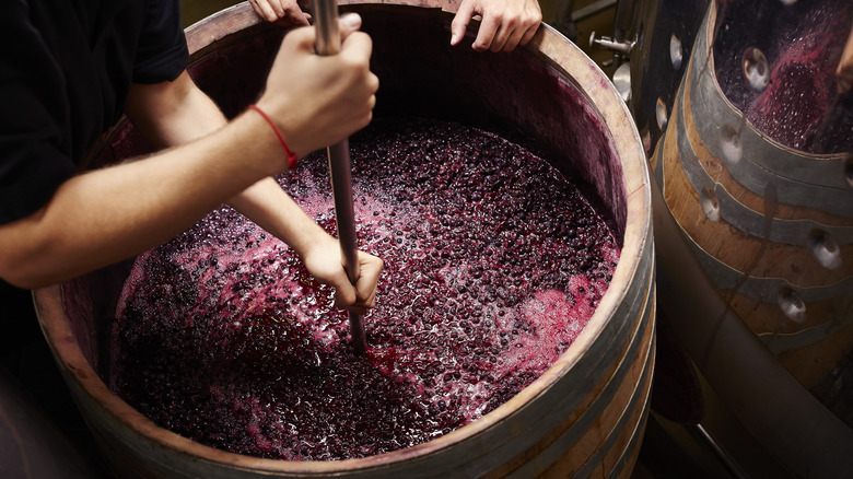 grapes being pressed for wine