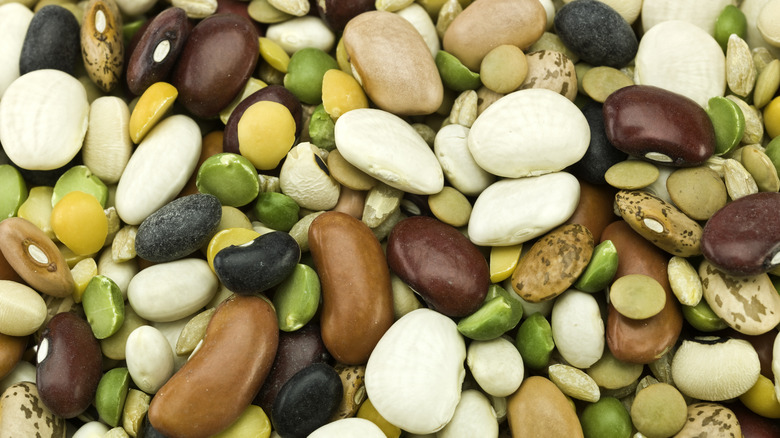 Close-up of a mixture of beans