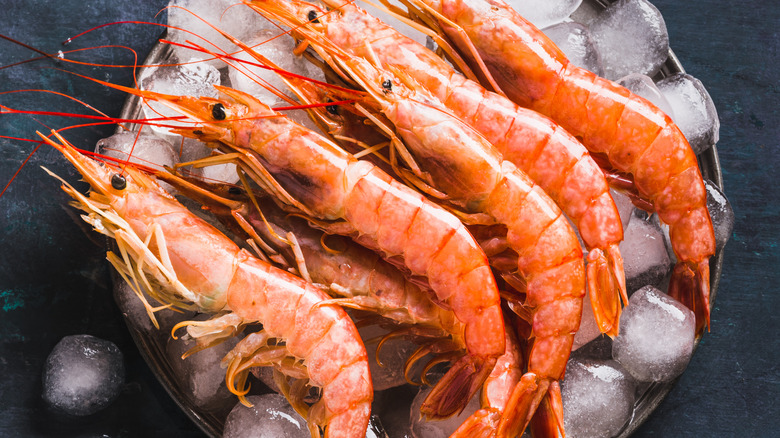 prawns on ice 