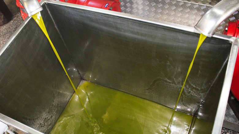 olive oil extraction basin