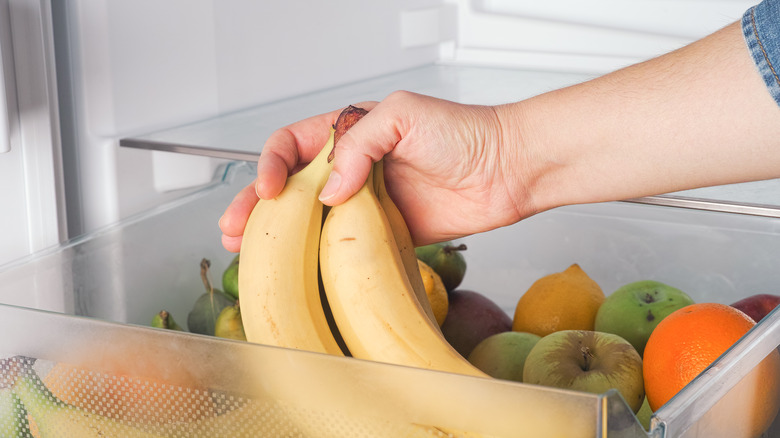 Person taking a bunch of bananas out of the fridge