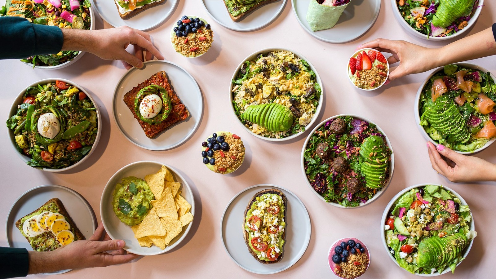 Where Is Avocaderia From Shark Tank Today?