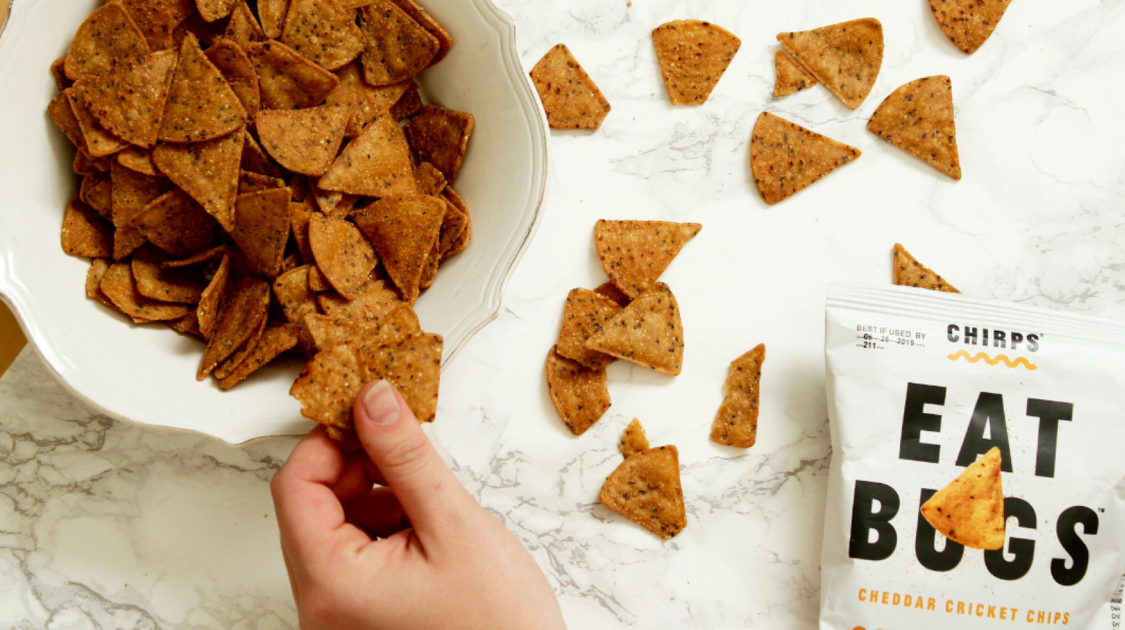 Where Is Chirps From Shark Tank Today?