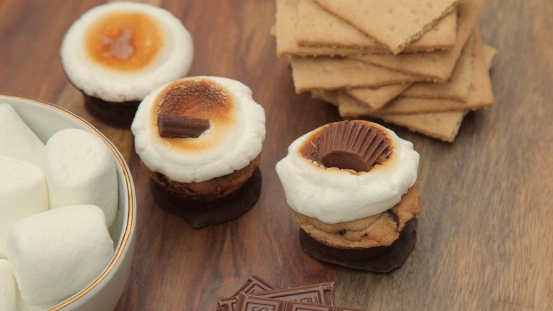 S'mores cupcakes surrounded by ingredients