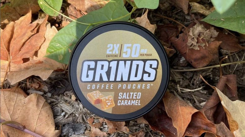 Grinds container in leaves