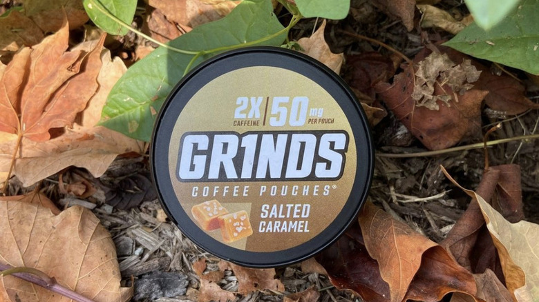 Grinds container in leaves