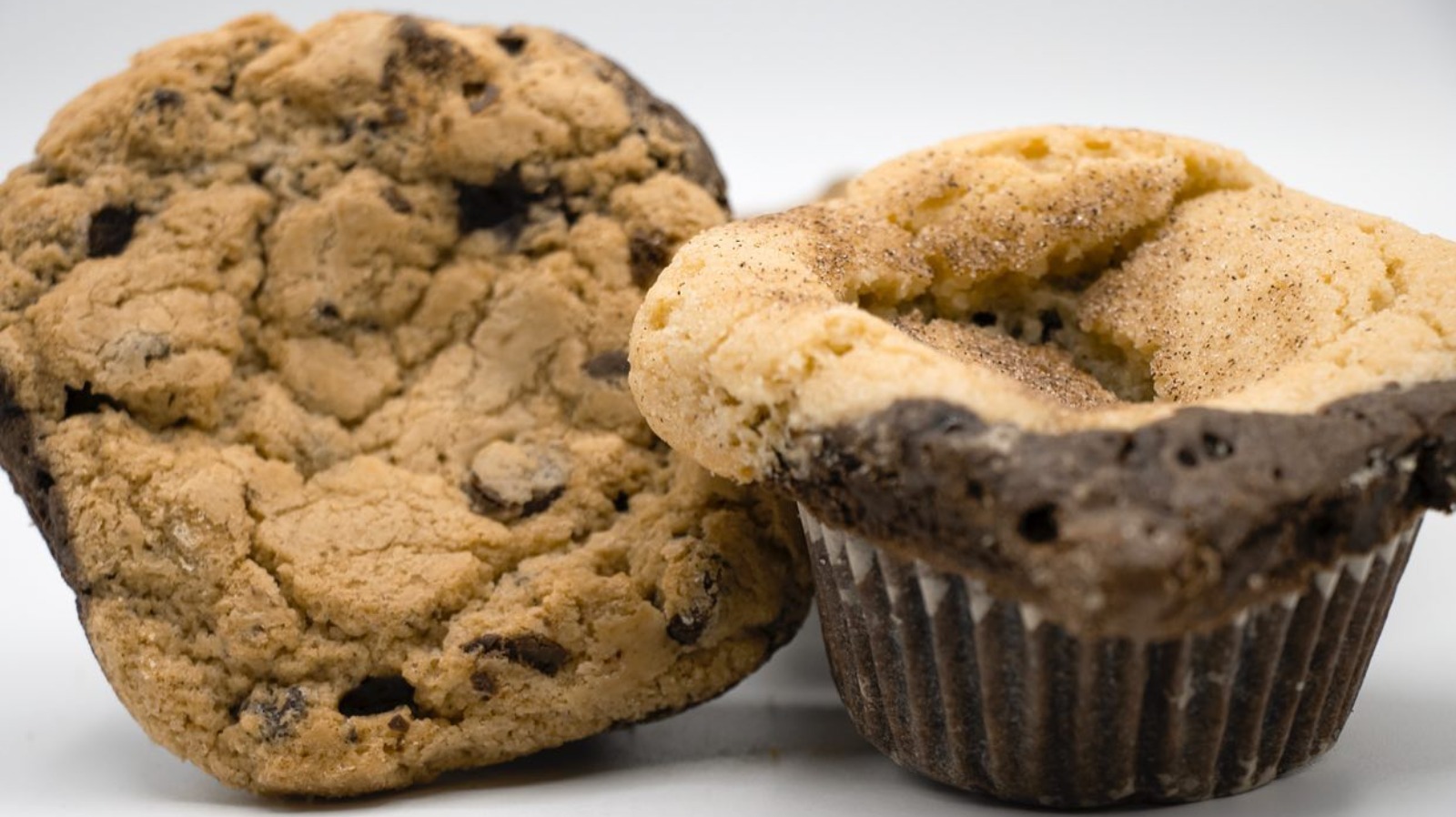 Where Is Milk And Brookies From Shark Tank Today?