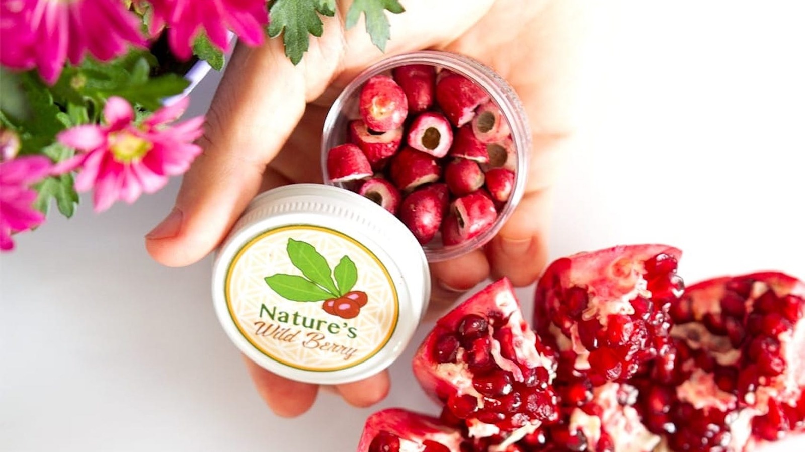 What has Nature's Wild Berry been doing since Shark Tank?