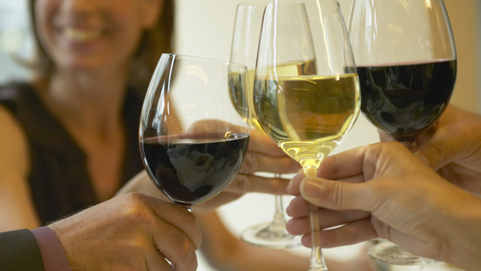 Where Is Obvious Wines From Shark Tank Today?