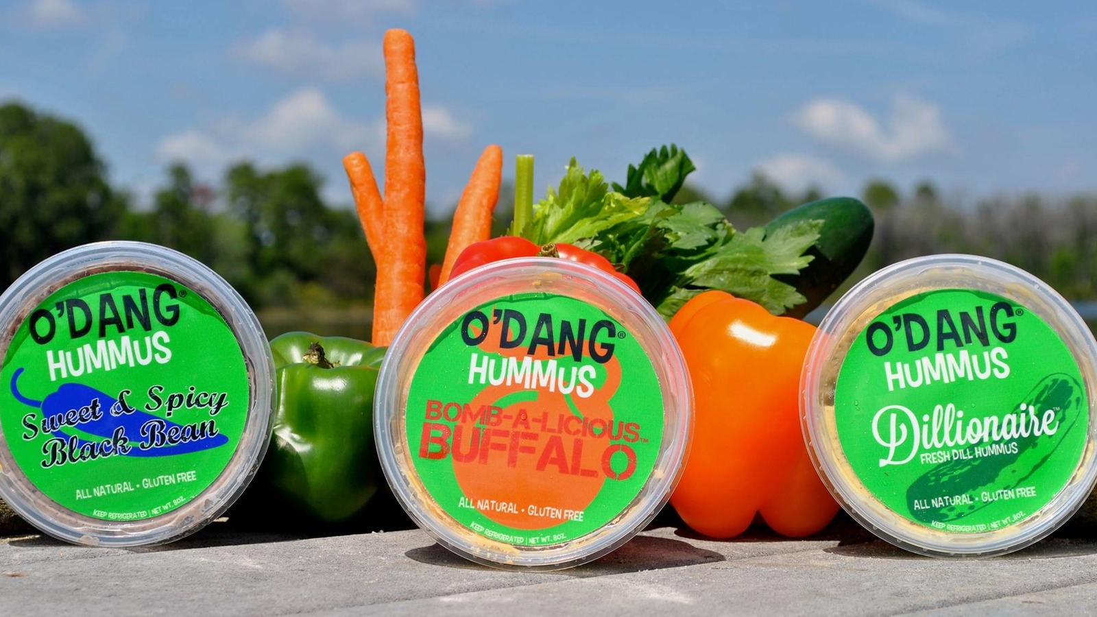Where Is O'Dang Hummus From Shark Tank Today?