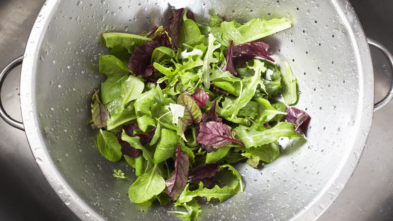 wet salad in strainer bowl