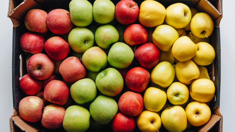 Different varieties of apples