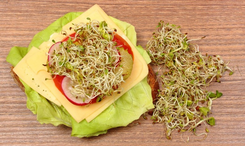 sprouts sandwich