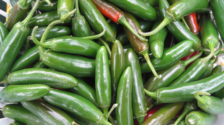 Which Presidential Candidate Swears by Raw Jalapeño Peppers as a Weight Loss Secret?