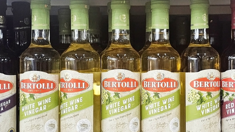 Rows of Bertolli white wine vinegar on a store shelf