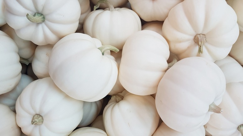 A large pile of white pumpkins.