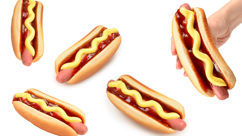 A selection of hot dogs on a white background 