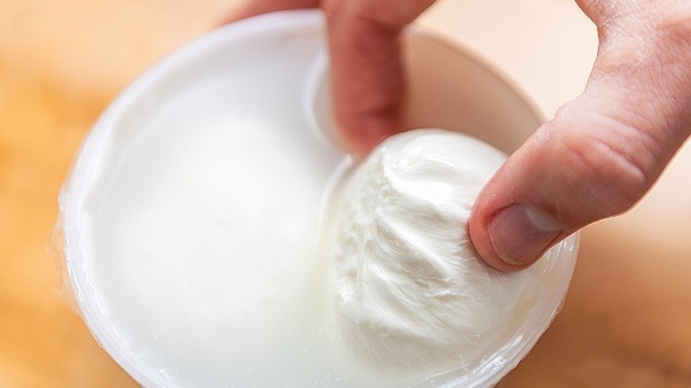 mozzarella soaked in liquid